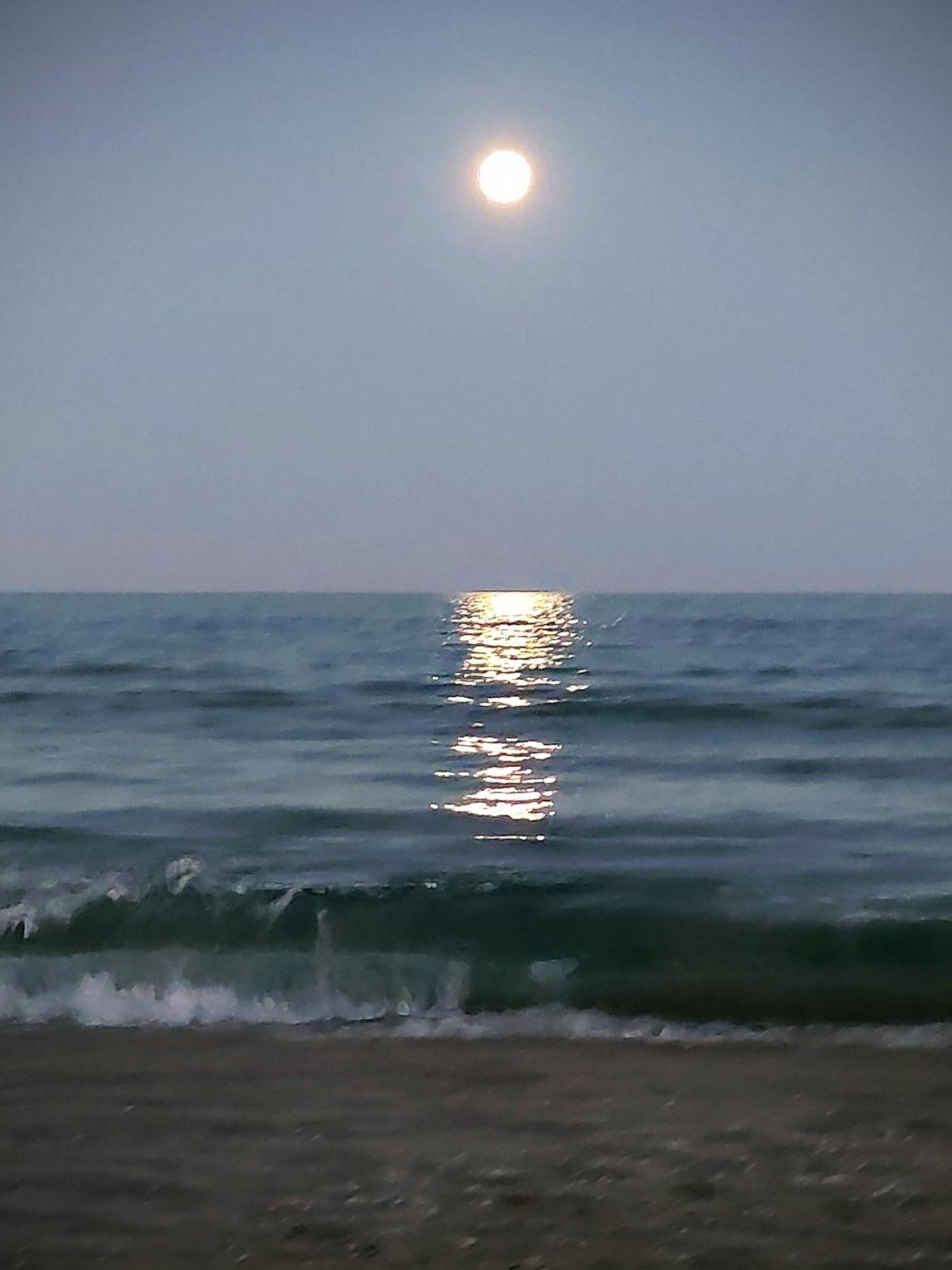 Cullera Confort Playa Zewnętrze zdjęcie